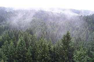 Rising fog from the Sauwald near Kopfing