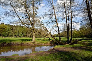 Schleswig-Holstein, Großenaspe, Osterau NIK 6378.jpg