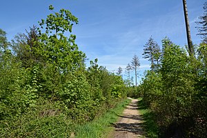 Schleswig-Holstein, Mildstedt, Naturerlebnisraum NIK 6541.jpg