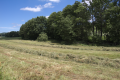 English: Nature reserve "Talauen von Nidder und Hillersbach bei Gedern und Burkhards" next to agricultural road to part of hiking trail "Bonifatiusroute", Burkhards, Schotten, Hesse, Germany This is a picture of the protected area listed at WDPA under the ID 378477