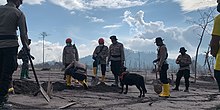 Recovery efforts of the victims of the eruption Search and rescue efforts of the 2021 Semeru eruption.jpg