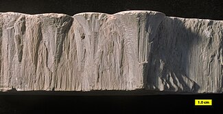 Cone-in-cone structures in limestone. ShatterCones.jpg