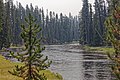 * Nomination Yellowstone NP, Wyoming, Lewis River south of Shoshone Lake --Dirtsc 18:03, 30 June 2019 (UTC) * Promotion Good quality. --СССР 19:45, 30 June 2019 (UTC)