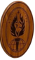 Space Delta 13 Detachment 2 emblem.png