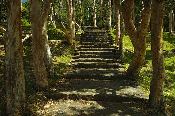 Stairs on the way to the Alexandra Fall on Mauritius