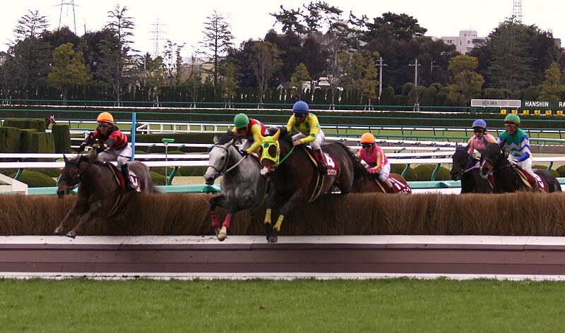 File:Steeplechase 20090314.JPG