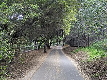 A view along the Stevens Creek Trail near downtown Mountain View