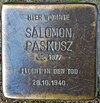 Stolperstein Salomon Paskusz Erich-Weinert-Straße 17 0050.JPG