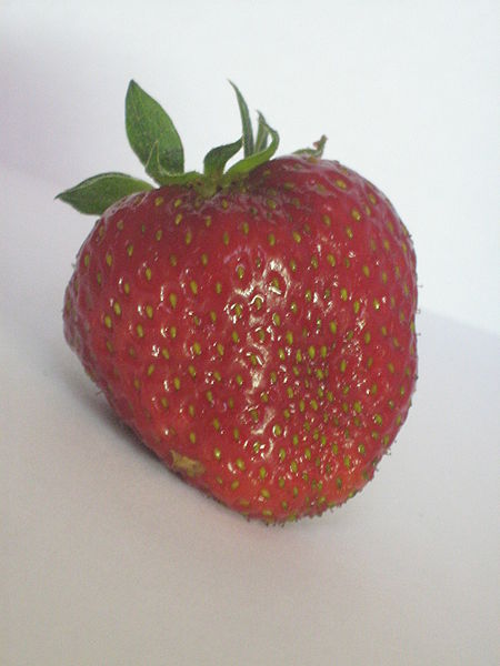 File:Strawberry5311.jpg