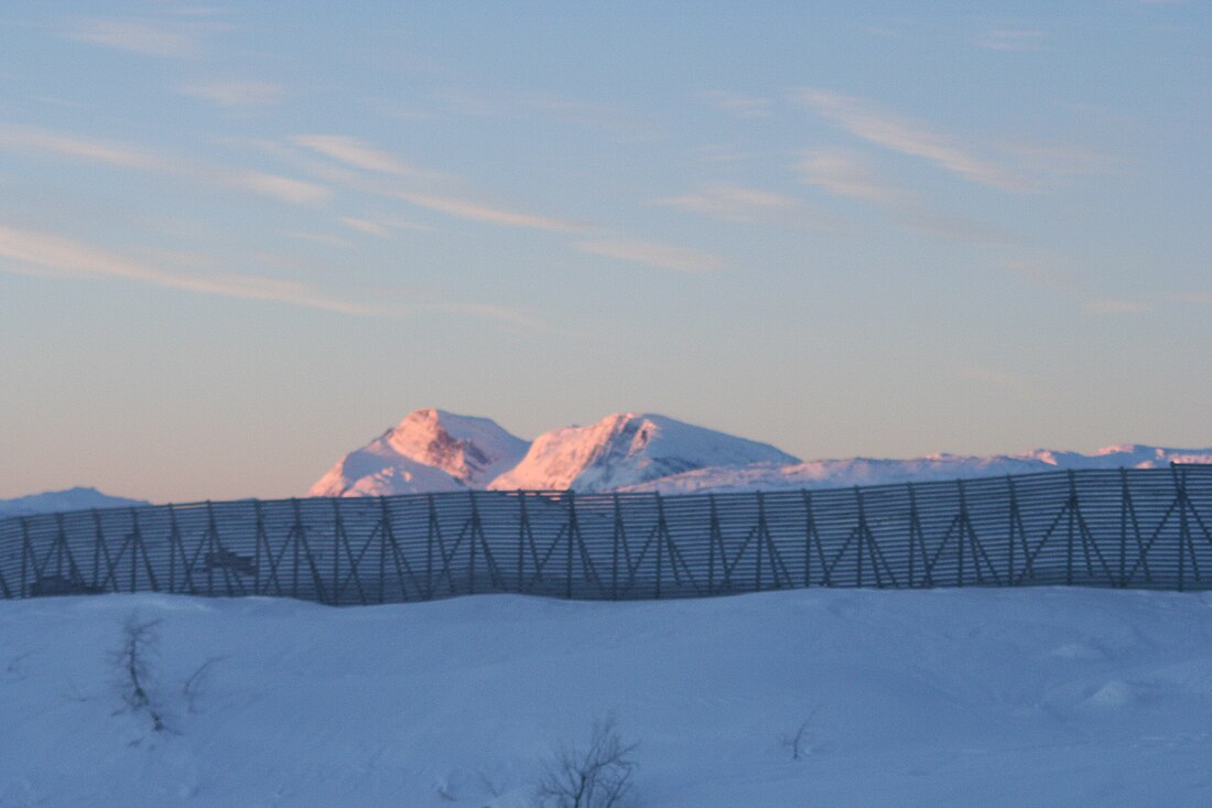 Bjørnfjellet (bukid sa Noruwega, Nordland Fylke, Narvik)