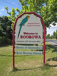 Road entry sign to Boorowa on Lachlan Valley Way Superb parrot boorowa welcome sign.JPG