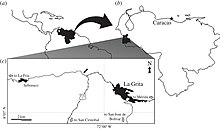 Tachiraptor admirabilis type locality in Venezuela Tachiraptor range map.jpg