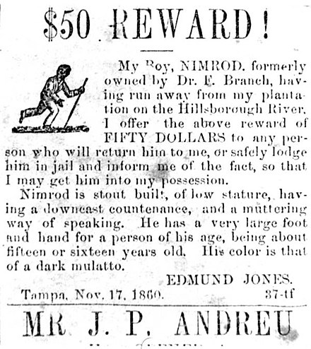 1860 Tampa newspaper ad offered reward for returning an enslaved teenager, Nimrod, escaped from a plantation on the Hillsborough River