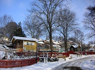 Koloniområdet på vintern 2006.