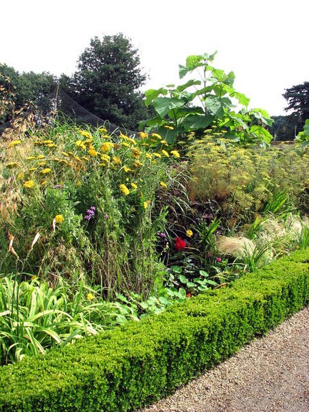 File:The kitchen garden - one of the herbaceous borders - geograph.org.uk - 935410.jpg