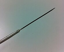 A close up of an inoculation needle Tip of inoculation needle.jpg