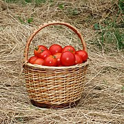Tomatoes in basket 2020 G1.jpg
