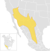 Toxostoma crissale species distribution map
