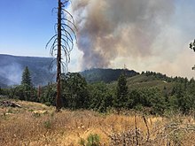 Trailhead Fire InciWeb 2016 06 29.jpeg