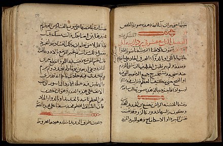 Two pages from the Arabic manuscript of the Kitab al-Tasrif. Middle East, 13th century, Chester Beatty Library.
