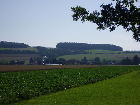 Treidelheim 2014
