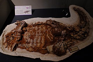 <i>Typothorax</i> Extinct genus of reptiles