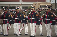 Peruvian ceremonial unit in 2010 with Mauser rifles. US Navy 100705-N-5319A-229 Members of the Peruvian Marine Drill Team perform at the opening ceremonies of Amphibious-Southern Partnership Station 2010 at Ancon Marine Base, Peru.jpg