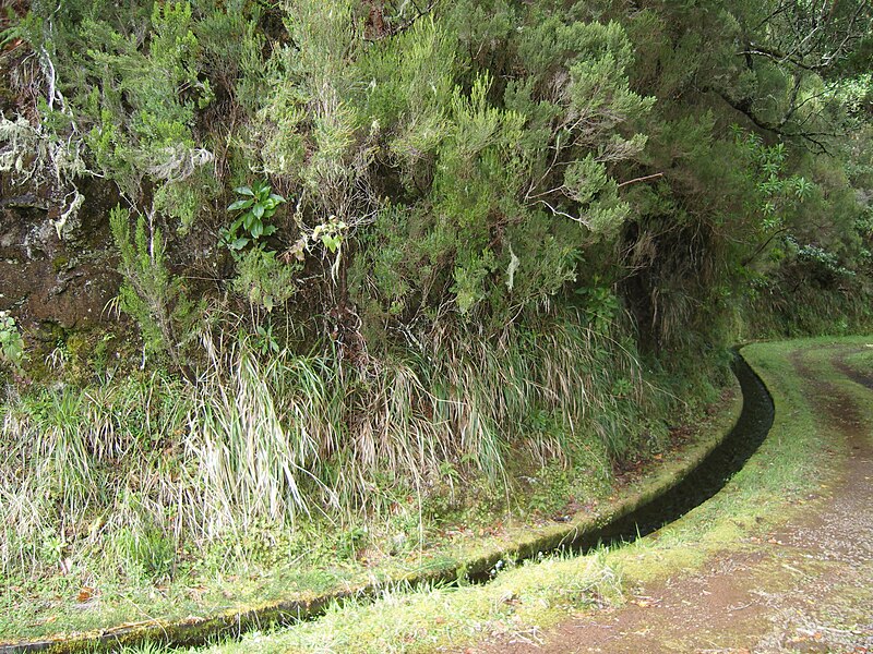 File:Unbekannte Levada 05c.jpg