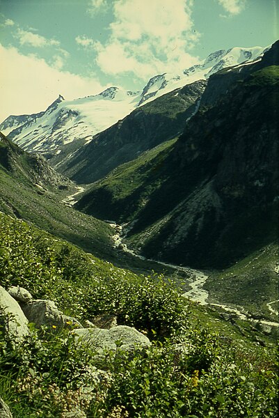 File:Untersulzbachtal 1965 BF78.jpg