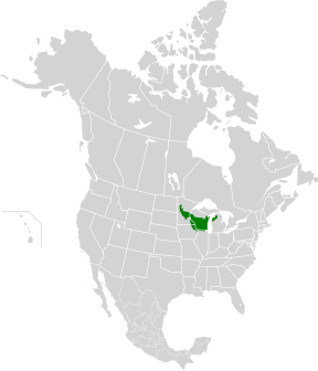 Upper Midwest Forest-Savanne Transition Zone map.svg