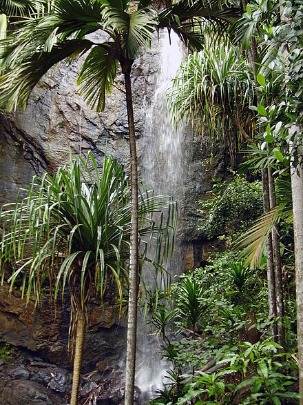 Waterfall in Vallée de Mai Nature Reserve