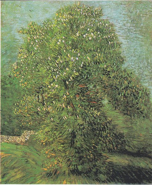 File:Van Gogh - Blühender Kastanienbaum.jpeg