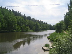 Река в июне 2008 года
