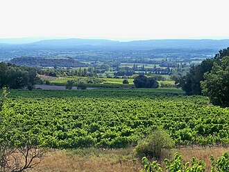 Un vignoble de côtes de Wiki.