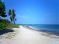 Virginia Key Beach, Virginia Key, Florida. Located south of South Beach and north of Key Biscayne.
