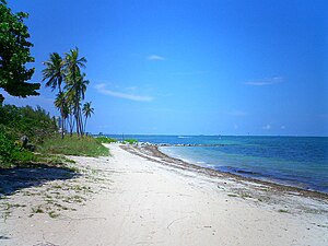 Virginia Key Beach in Miami, 2004