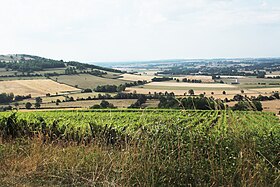 Illustrasjonsbilde av artikkelen Coteaux-de-l'Auxois