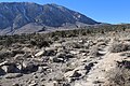 Level bit on old wagon road up Sherwin Grade