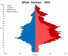 White German population pyramid 2021.svg