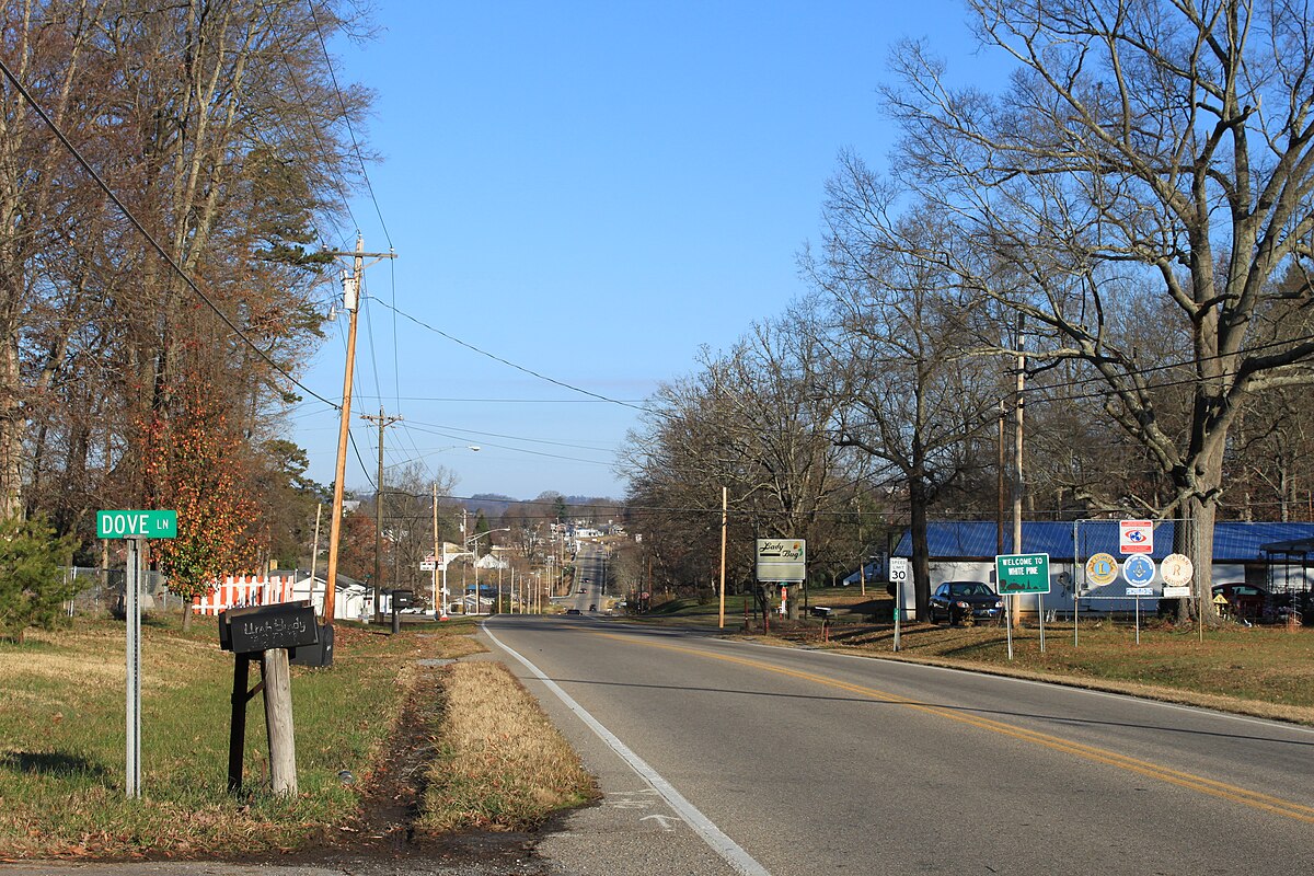 White Pine Tennessee Map White Pine, Tennessee - Wikipedia