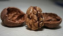 A walnut kernel and its shell Whole walnut kernel and shell.jpg