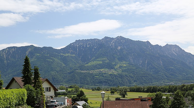 File:Wikiolo in Liechtenstein (115) (cropped).jpg