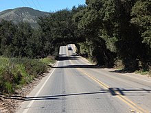 Bundy Canyon Road Wildomar tree tunnel 2.jpg