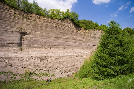 Wingertsbergwand