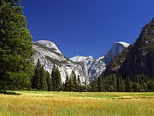 Yosemite Valley with Half Dome in the distance.jpg