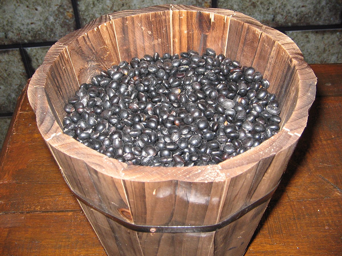 Kacang Hitam Wikipedia Bahasa Melayu ensiklopedia bebas