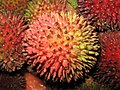 Buah pulasan