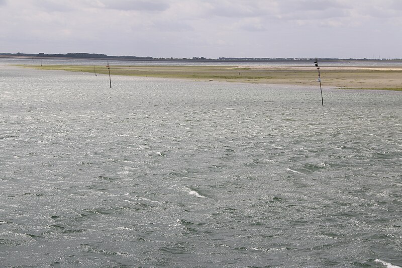 File:Zeehonden, Nationaal park Oosterschelde 24.jpg