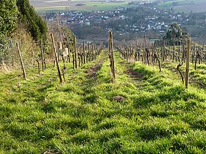 Zellertal Zell: Geographie, Geschichte, Religion