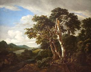 Trois Grands arbres dans un paysage montagneux avec une rivière